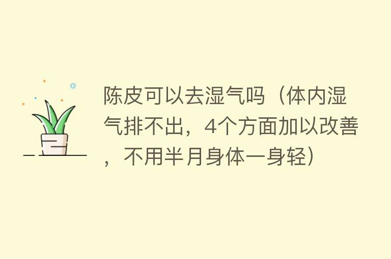 陈皮可以去湿气吗（体内湿气排不出，4个方面加以改善，不用半月身体一身轻）