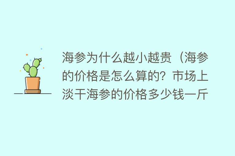 海参为什么越小越贵（海参的价格是怎么算的？市场上淡干海参的价格多少钱一斤？）