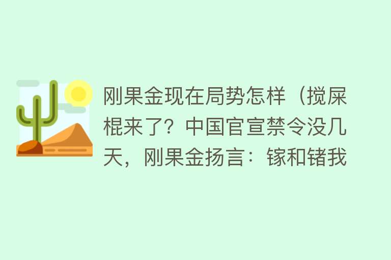 刚果金现在局势怎样（搅屎棍来了？中国官宣禁令没几天，刚果金扬言：镓和锗我们有！）