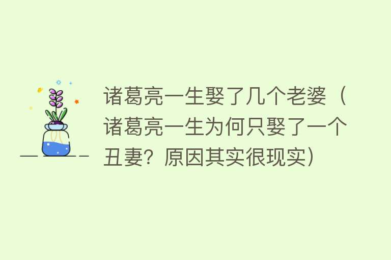 诸葛亮一生娶了几个老婆（诸葛亮一生为何只娶了一个丑妻？原因其实很现实）