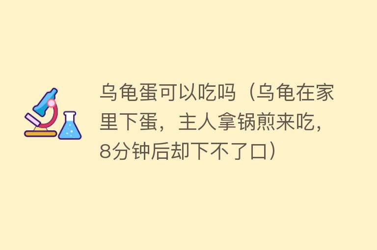 乌龟蛋可以吃吗（乌龟在家里下蛋，主人拿锅煎来吃，8分钟后却下不了口）