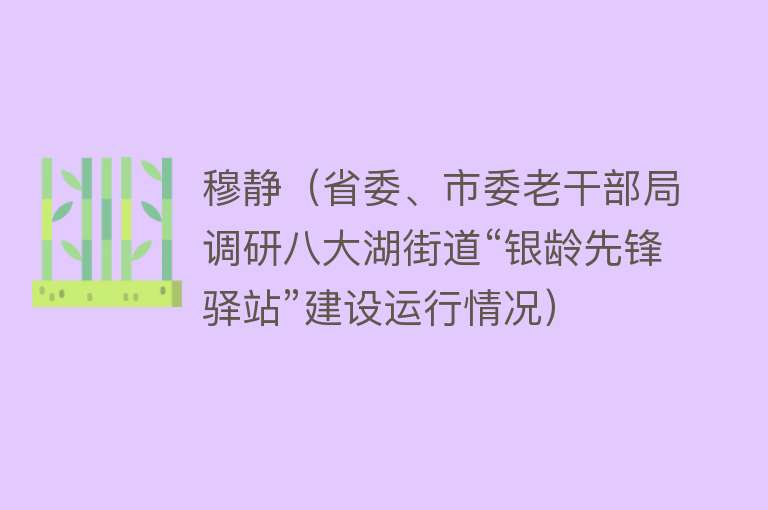 穆静（省委、市委老干部局调研八大湖街道“银龄先锋驿站”建设运行情况）