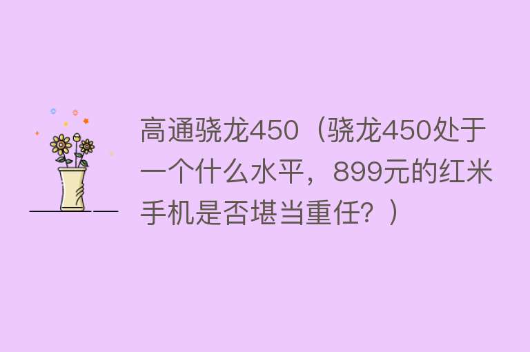 高通骁龙450（骁龙450处于一个什么水平，899元的红米手机是否堪当重任？）