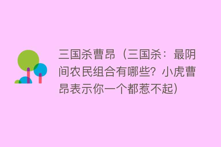 三国杀曹昂（三国杀：最阴间农民组合有哪些？小虎曹昂表示你一个都惹不起）