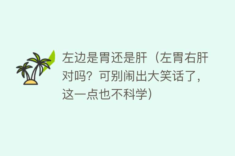 左边是胃还是肝（左胃右肝对吗？可别闹出大笑话了，这一点也不科学）