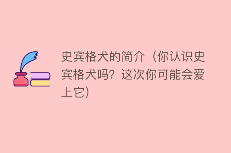 史宾格犬的简介（你认识史宾格犬吗？这次你可能会爱上它）