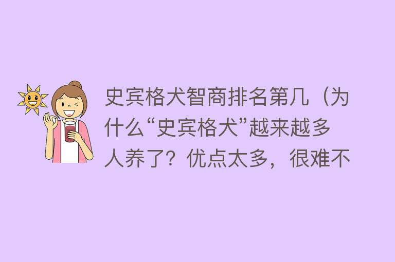 史宾格犬智商排名第几（为什么“史宾格犬”越来越多人养了？优点太多，很难不爱）