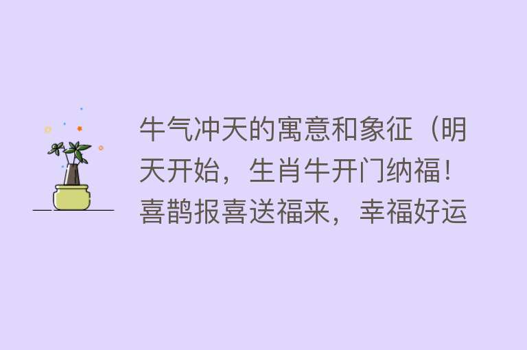 牛气冲天的寓意和象征（明天开始，生肖牛开门纳福！喜鹊报喜送福来，幸福好运祝你飞升！）