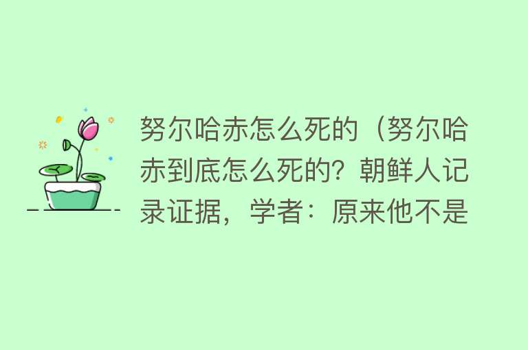 努尔哈赤怎么死的（努尔哈赤到底怎么死的？朝鲜人记录证据，学者：原来他不是病死的）