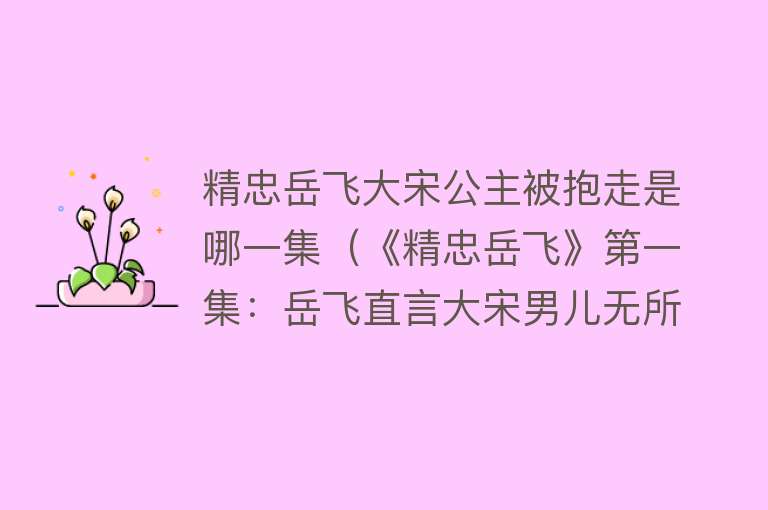 精忠岳飞大宋公主被抱走是哪一集（《精忠岳飞》第一集：岳飞直言大宋男儿无所畏惧，他想杀了岳飞）