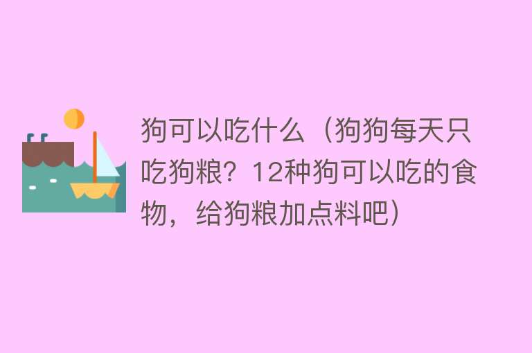 狗可以吃什么（狗狗每天只吃狗粮？12种狗可以吃的食物，给狗粮加点料吧）