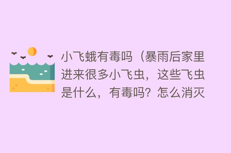 小飞蛾有毒吗（暴雨后家里进来很多小飞虫，这些飞虫是什么，有毒吗？怎么消灭？）