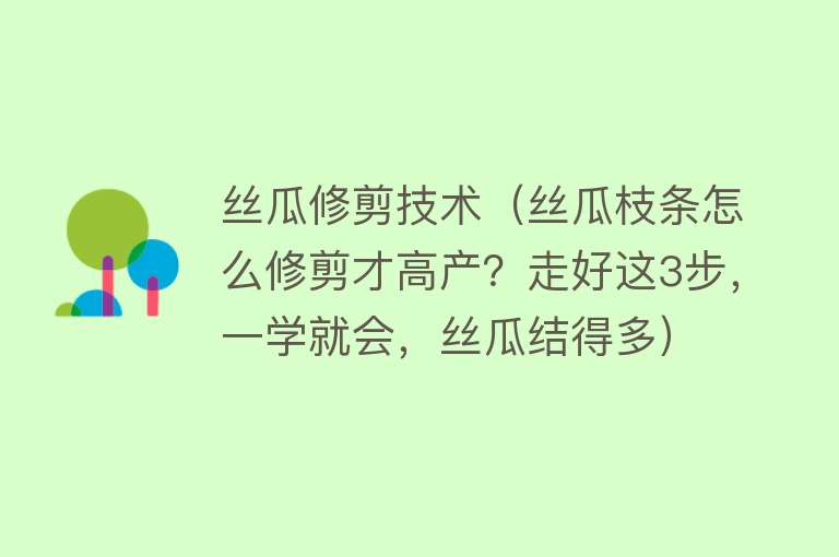 丝瓜修剪技术（丝瓜枝条怎么修剪才高产？走好这3步，一学就会，丝瓜结得多）