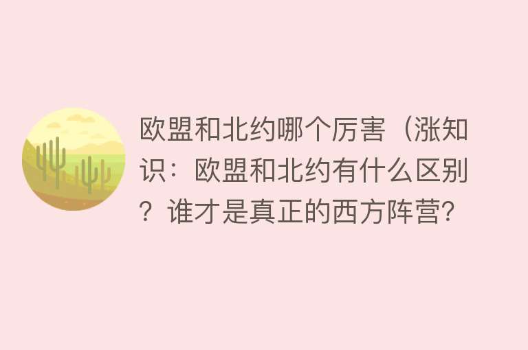 欧盟和北约哪个厉害（涨知识：欧盟和北约有什么区别？谁才是真正的西方阵营？）