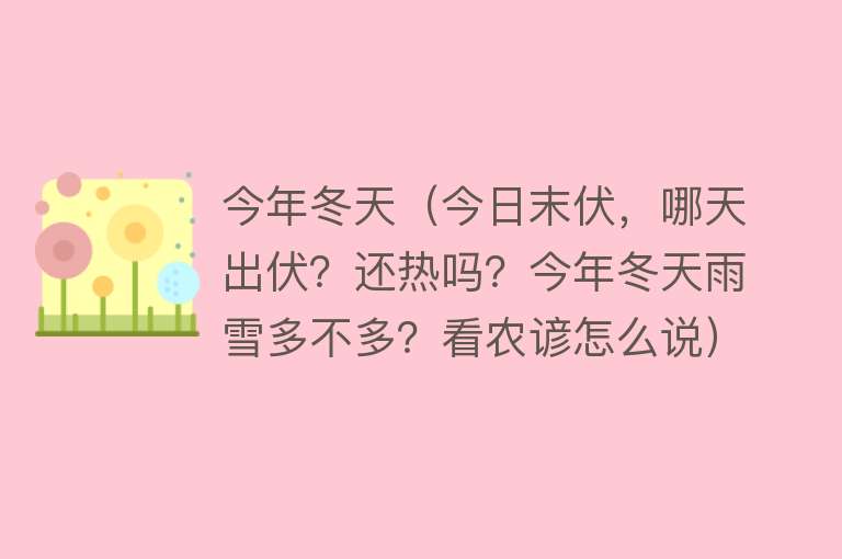 今年冬天（今日末伏，哪天出伏？还热吗？今年冬天雨雪多不多？看农谚怎么说）