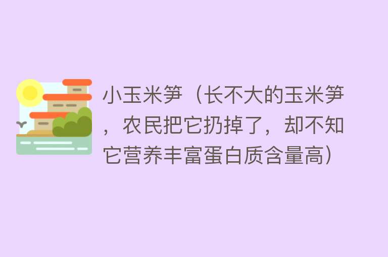 小玉米笋（长不大的玉米笋，农民把它扔掉了，却不知它营养丰富蛋白质含量高）