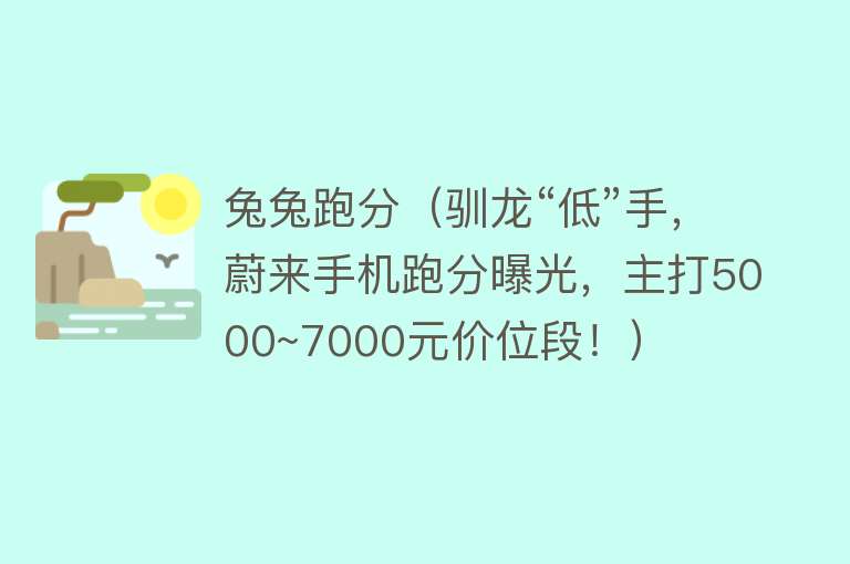 兔兔跑分（驯龙“低”手，蔚来手机跑分曝光，主打5000~7000元价位段！）