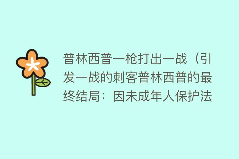 普林西普一枪打出一战（引发一战的刺客普林西普的最终结局：因未成年人保护法免于死刑）