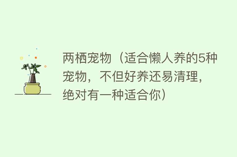 两栖宠物（适合懒人养的5种宠物，不但好养还易清理，绝对有一种适合你）