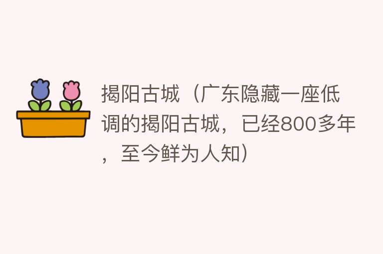 揭阳古城（广东隐藏一座低调的揭阳古城，已经800多年，至今鲜为人知）