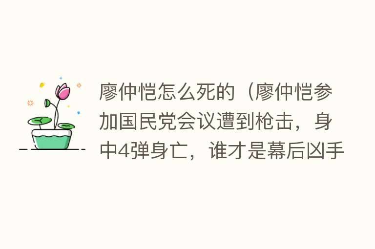 廖仲恺怎么死的（廖仲恺参加国民党会议遭到枪击，身中4弹身亡，谁才是幕后凶手？）