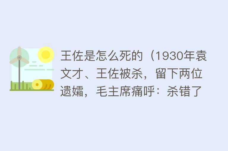 王佐是怎么死的（1930年袁文才、王佐被杀，留下两位遗孀，毛主席痛呼：杀错了）