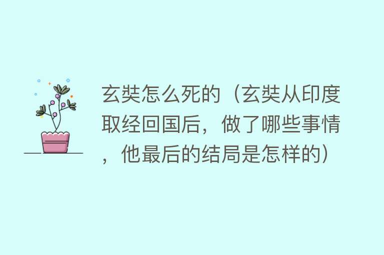 玄奘怎么死的（玄奘从印度取经回国后，做了哪些事情，他最后的结局是怎样的）