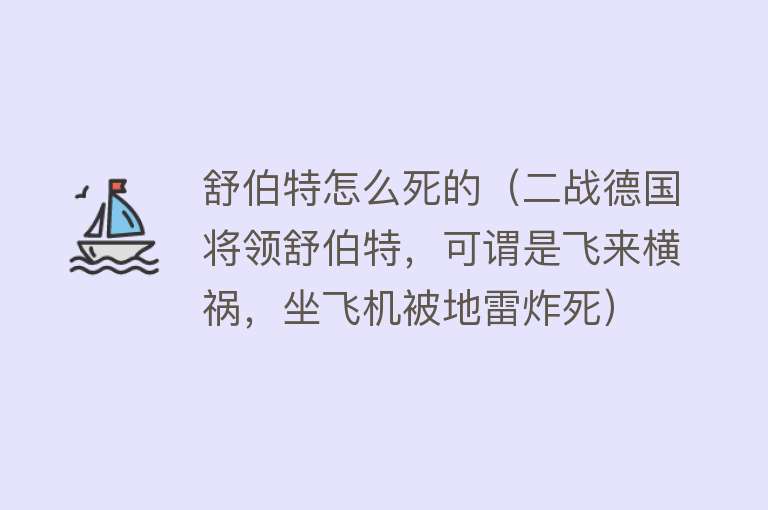 舒伯特怎么死的（二战德国将领舒伯特，可谓是飞来横祸，坐飞机被地雷炸死）