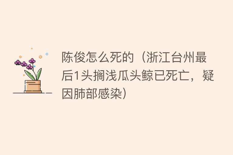 陈俊怎么死的（浙江台州最后1头搁浅瓜头鲸已死亡，疑因肺部感染）