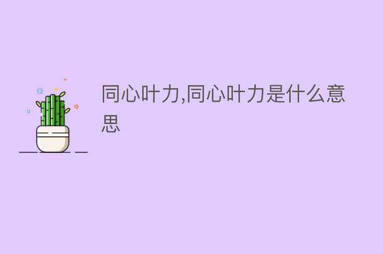 同心叶力,同心叶力是什么意思