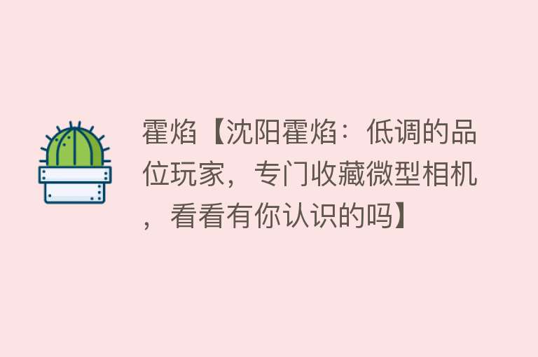 霍焰【沈阳霍焰：低调的品位玩家，专门收藏微型相机，看看有你认识的吗】