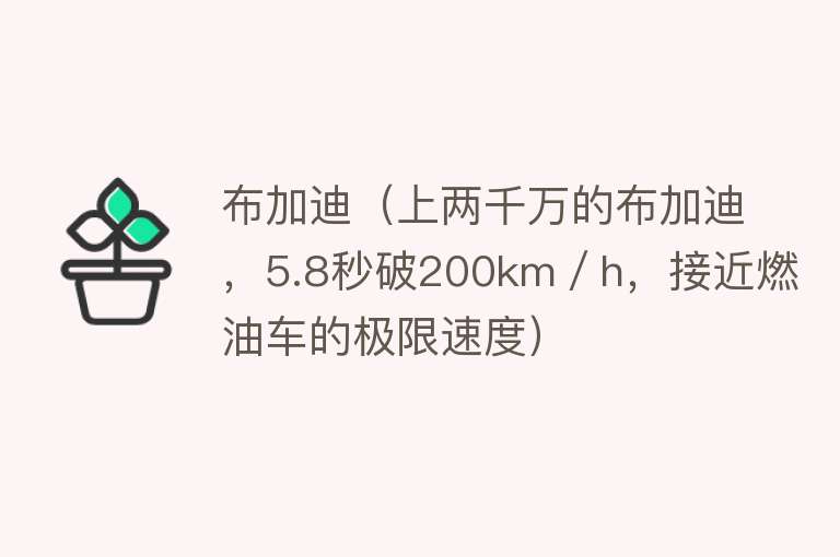 布加迪（上两千万的布加迪，5.8秒破200km／h，接近燃油车的极限速度）