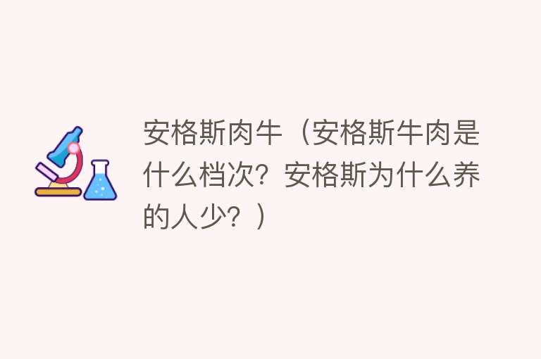 安格斯肉牛（安格斯牛肉是什么档次？安格斯为什么养的人少？） 