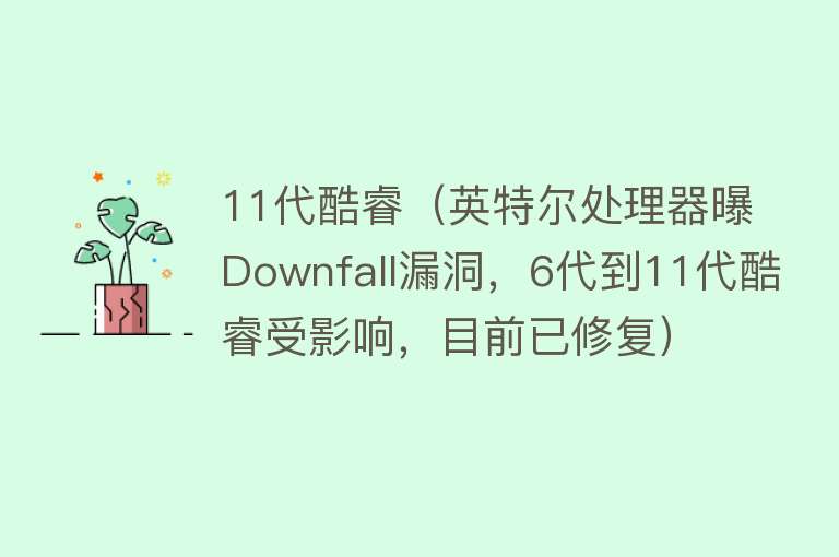 11代酷睿（英特尔处理器曝Downfall漏洞，6代到11代酷睿受影响，目前已修复）