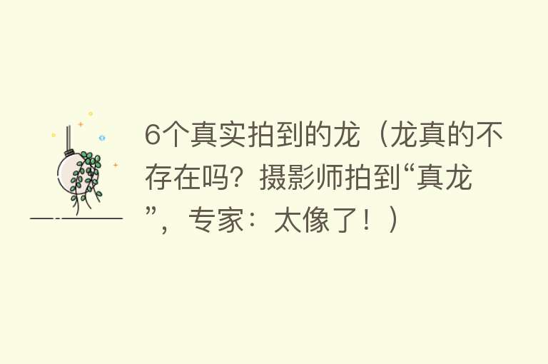 6个真实拍到的龙(龙真的不存在吗?摄影师拍到“真龙”,专家:太像了!)