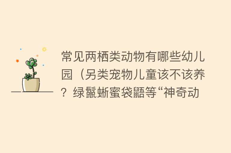 常见两栖类动物有哪些幼儿园（另类宠物儿童该不该养？绿鬣蜥蜜袋鼯等“神奇动物”什么样？）