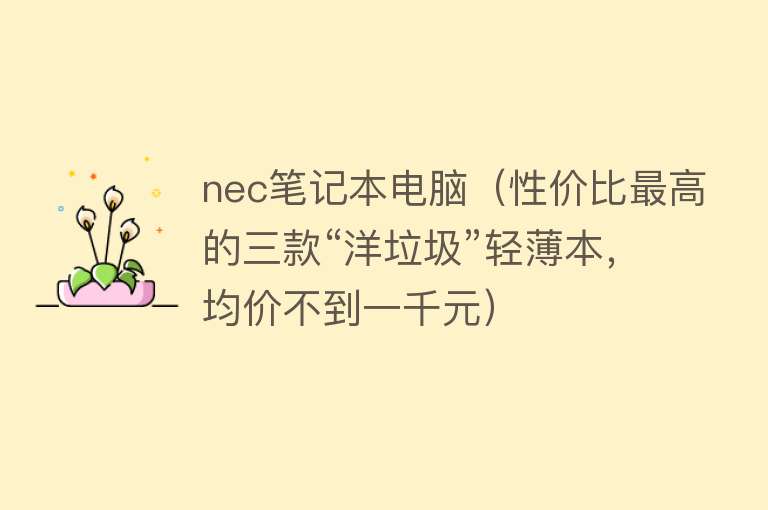 nec笔记本电脑(性价比最高的三款“洋垃圾”轻薄本,均价不到一千元)