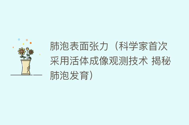 肺泡表面张力（科学家首次采用活体成像观测技术 揭秘肺泡发育） 