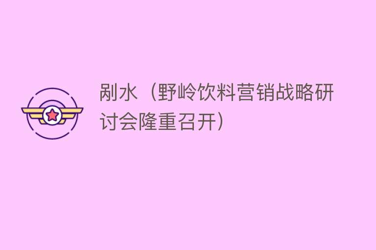 剐水(野岭饮料营销战略研讨会隆重召开)