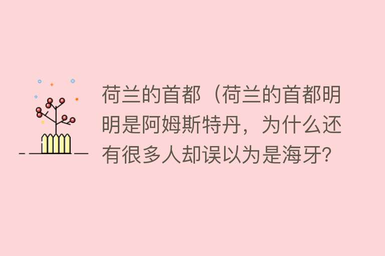 荷兰的首都（荷兰的首都明明是阿姆斯特丹，为什么还有很多人却误以为是海牙？） 