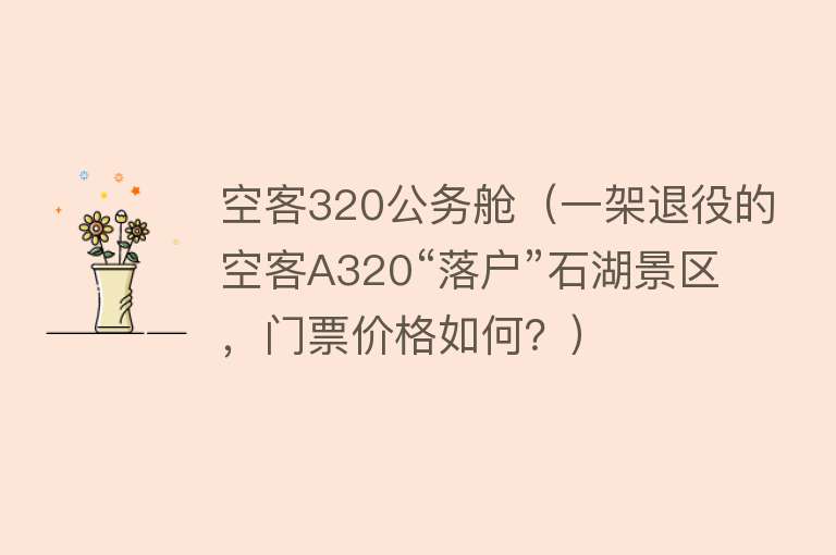 空客320公务舱（一架退役的空客A320“落户”石湖景区，门票价格如何？） 