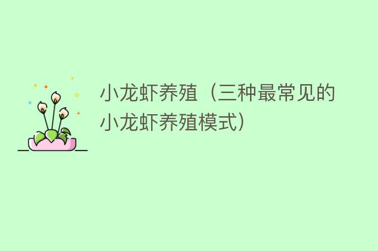 小龙虾养殖（三种最常见的小龙虾养殖模式） 