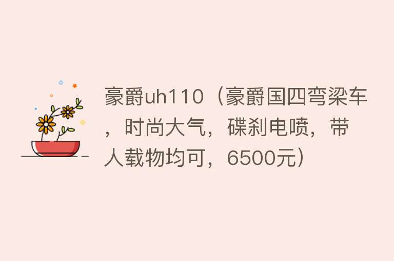 豪爵uh110(豪爵国四弯梁车,时尚大气,碟刹电喷,带人载物均可,6500元)