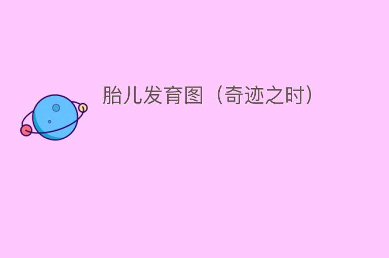 胎儿发育图（奇迹之时） 