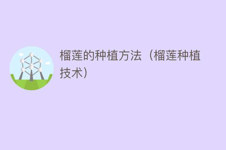 榴莲的种植方法（榴莲种植技术） 