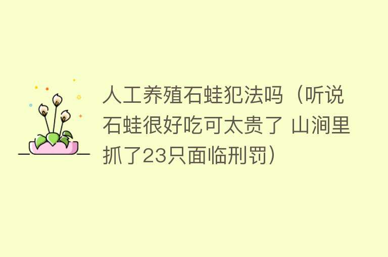 人工养殖石蛙犯法吗（听说石蛙很好吃可太贵了 山涧里抓了23只面临刑罚） 