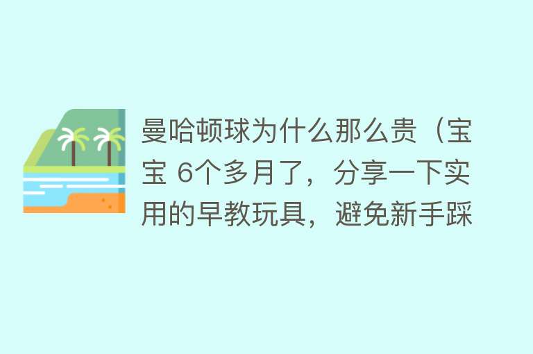 曼哈顿球为什么那么贵（宝宝 6个多月了，分享一下实用的早教玩具，避免新手踩雷哦~） 