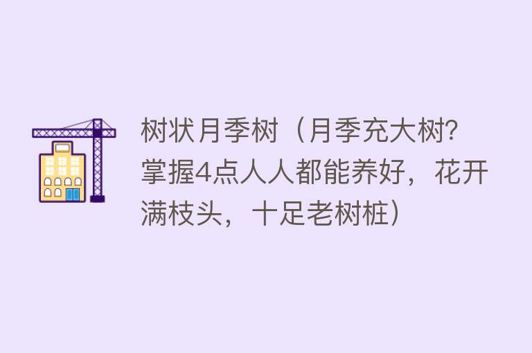 树状月季树（月季充大树？掌握4点人人都能养好，花开满枝头，十足老树桩） 