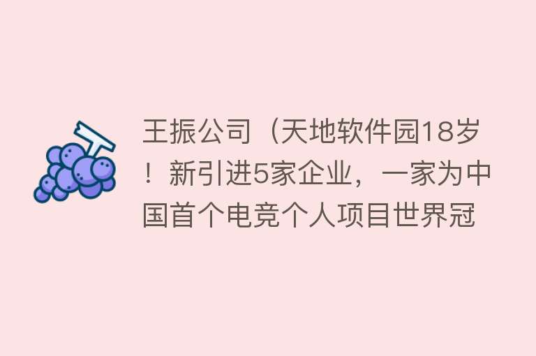 王振公司（天地软件园18岁！新引进5家企业，一家为中国首个电竞个人项目世界冠军创办） 