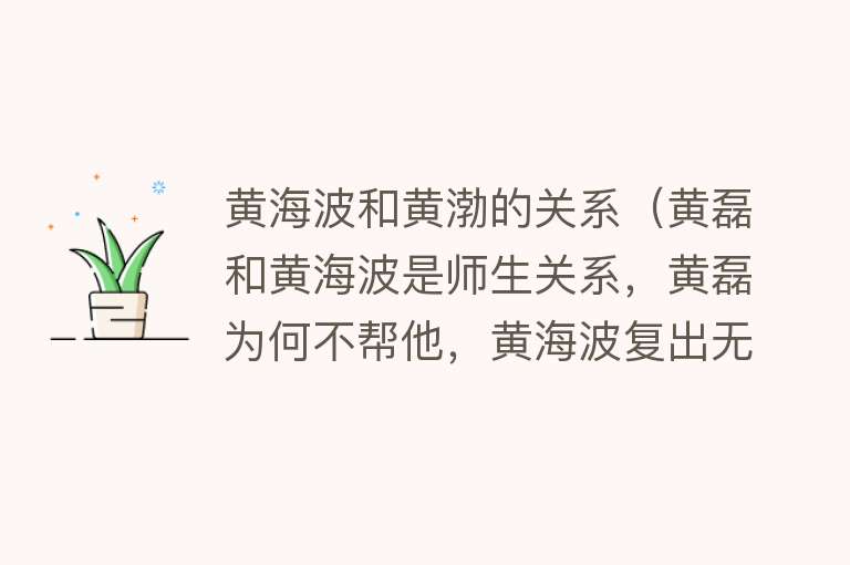 黄海波和黄渤的关系（黄磊和黄海波是师生关系，黄磊为何不帮他，黄海波复出无望） 